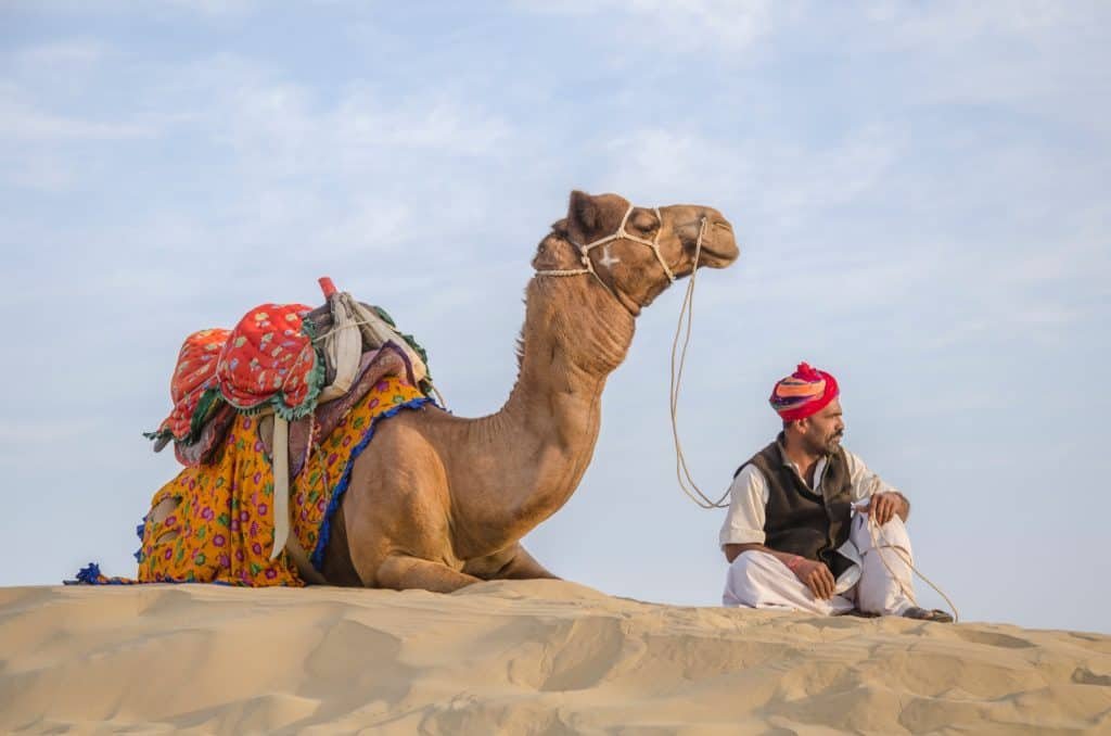 Conheça os 8 animais mais curiosos do deserto