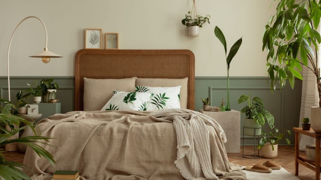 6 plantas perigosas para pets que você pode ter em casa sem saber