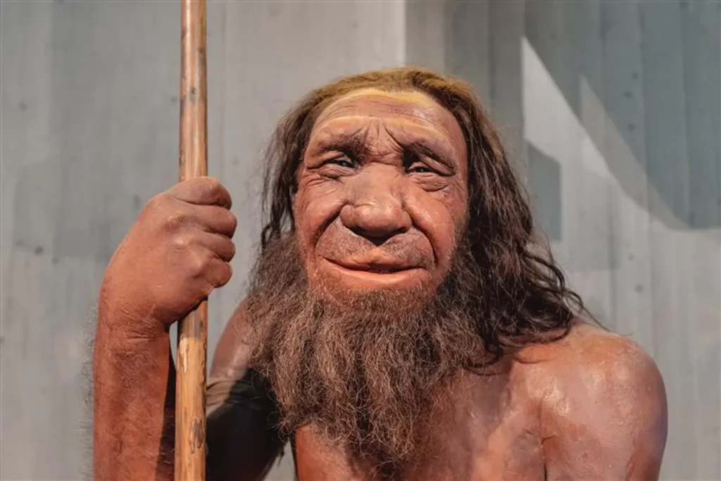 Qual era a cor dos olhos, cabelos e pele dos neandertais?